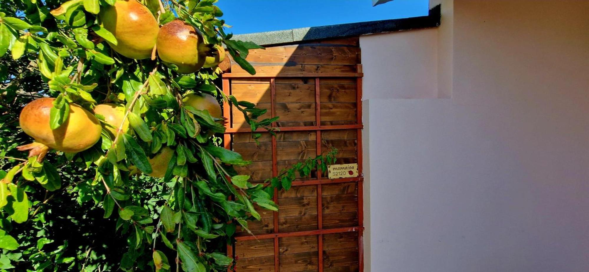 Casa Vacanza Mamaioa SantʼAnna Arresi Esterno foto